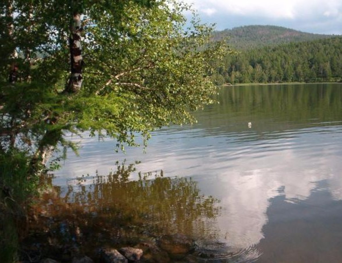 Озеро Дикое (Большое Дикое)
