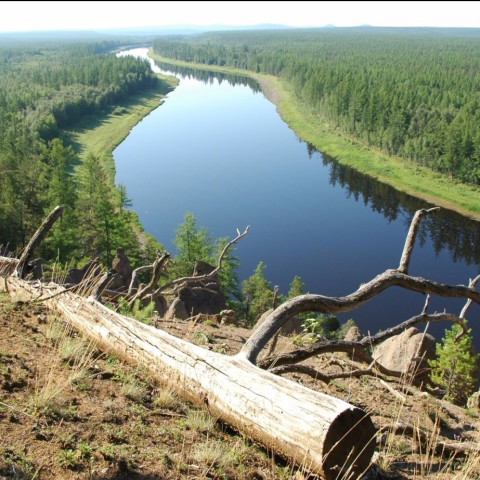 Река Подкаменная Тунгуска