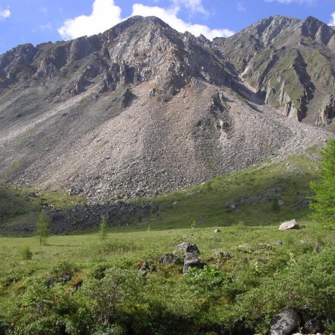 Заказник «Арга»