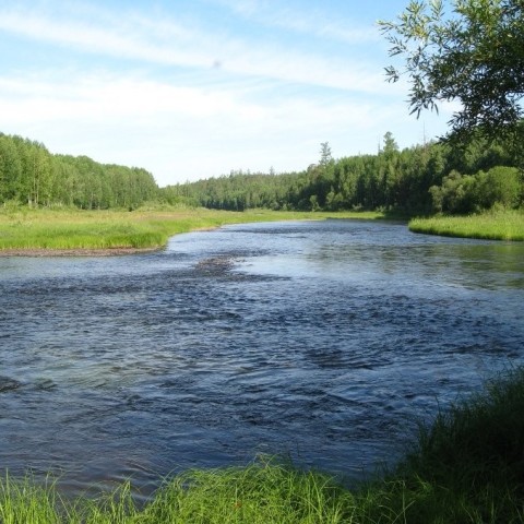 Река Кова