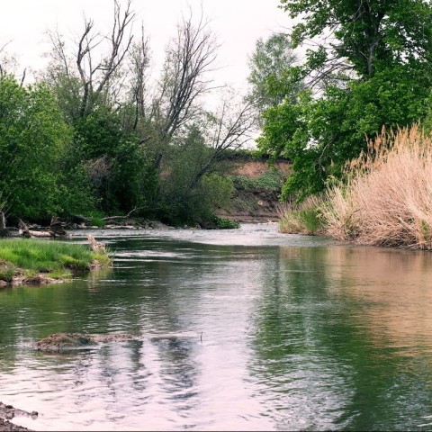 Река Усолка