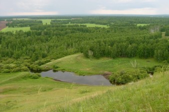 Природа Дзержинского района